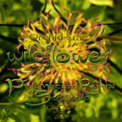 Orchid-Star_-_Wildflower_-_Polynectar_Remix_(