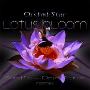 Orchid-Star_-_Lotus_Bloom_-_SandRa-PeteArdron